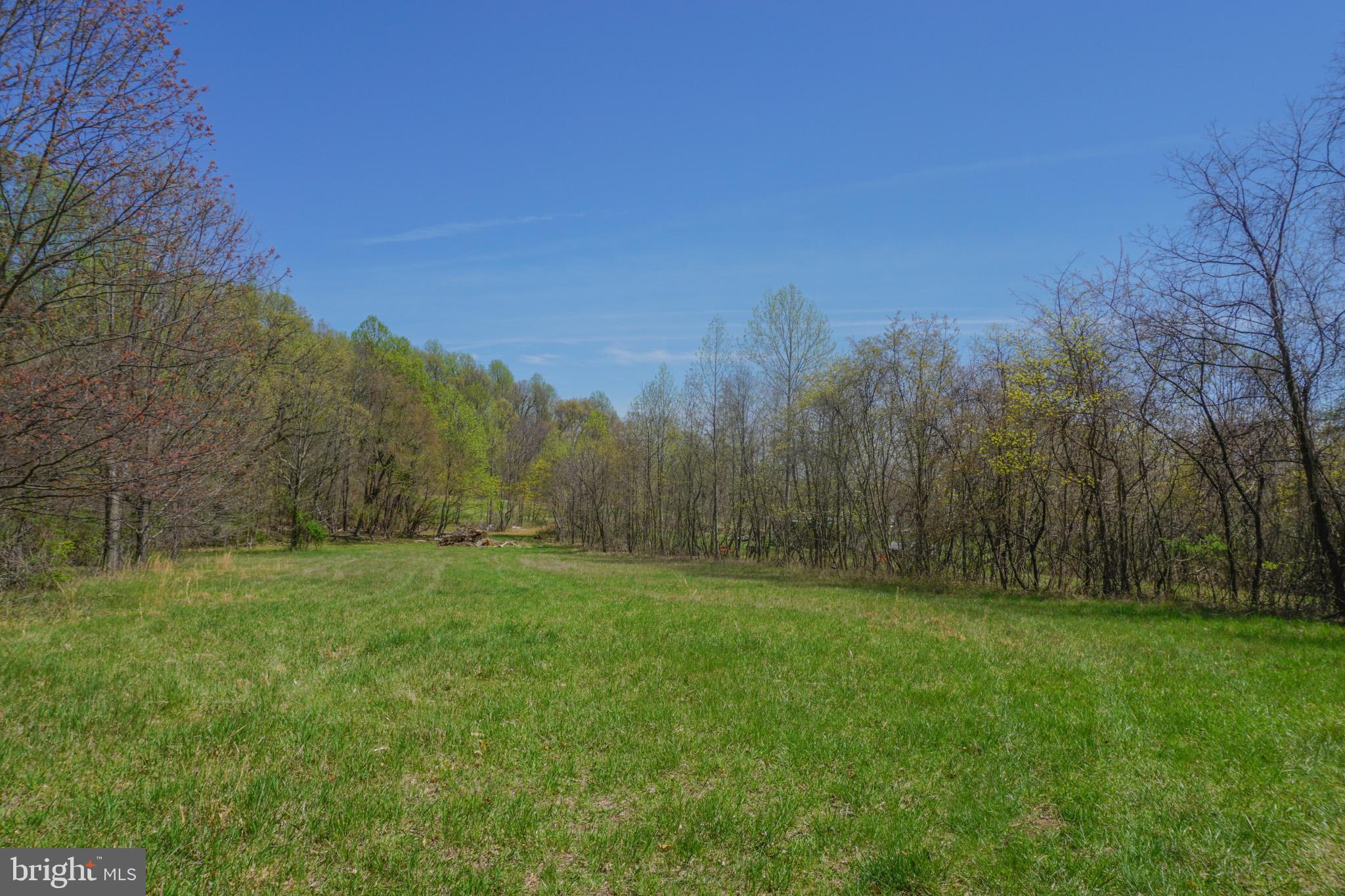 0 South Park Avenue Mertztown, PA 19539 - Photo 34 of 36 a view of grassy field with trees in the background
