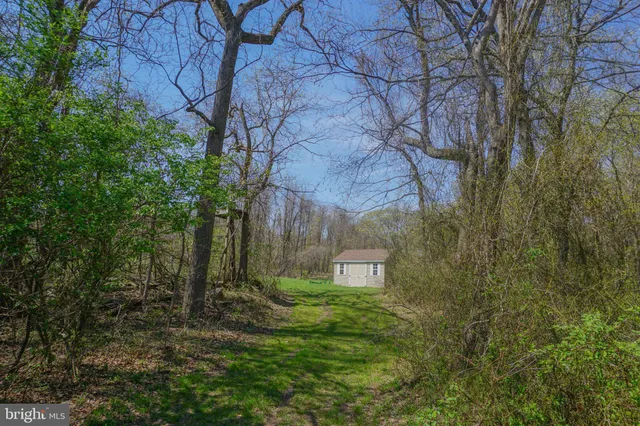 a view of backyard with green space