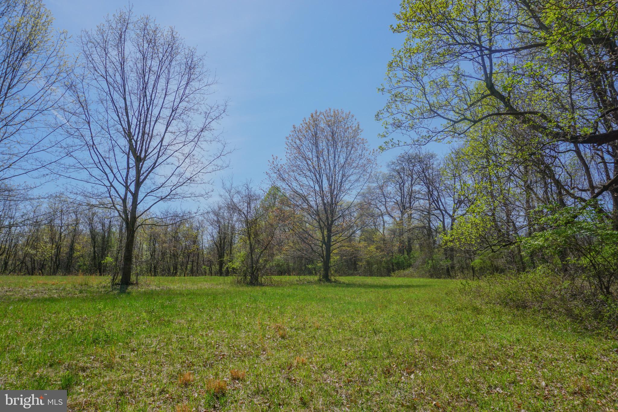 0 South Park Avenue Mertztown, PA 19539 - Photo 36 of 36 a view of backyard with green space