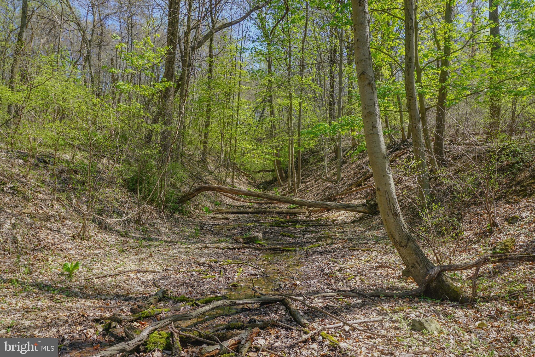 0 South Park Avenue Mertztown, PA 19539 - Photo 6 of 36 a view of a yard
