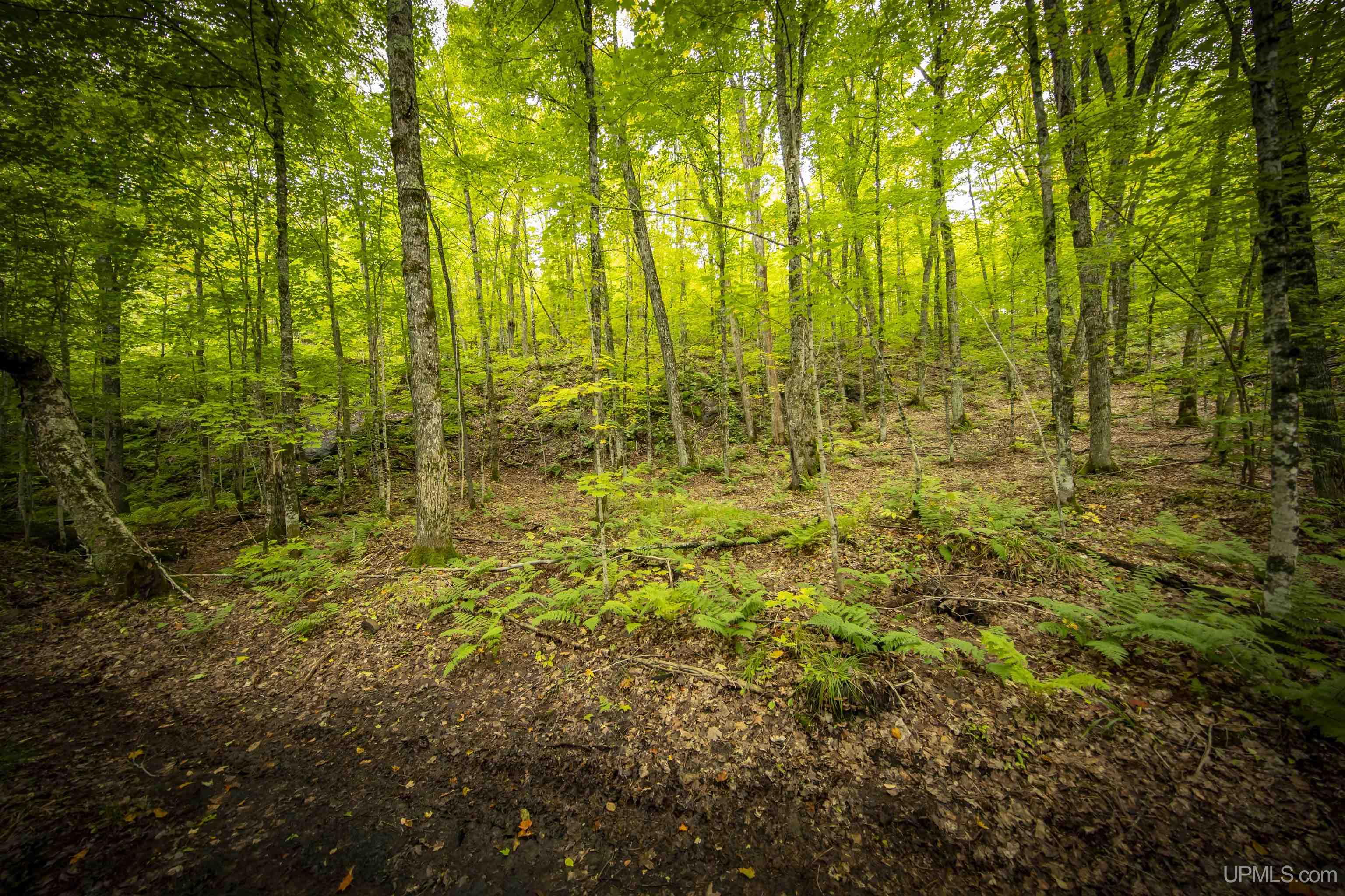 8450 Van Buskirk Road Ironwood, MI 49938 - Photo 73 of 83