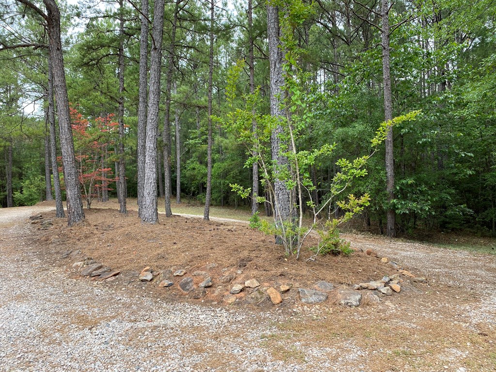 501 Hardy Road LaGrange, GA 30241 - Photo 32 of 37 a view of a forest with trees in the background
