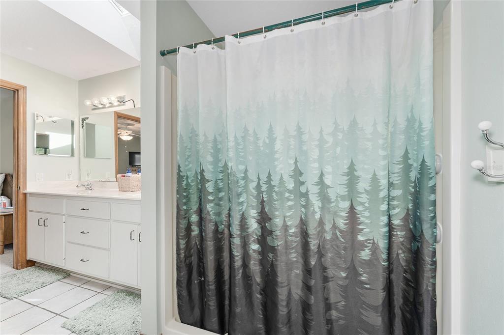 12681 Southeast 54th Avenue Belleview, FL 34420 - Photo 29 of 46 a bathroom with a shower and a sink