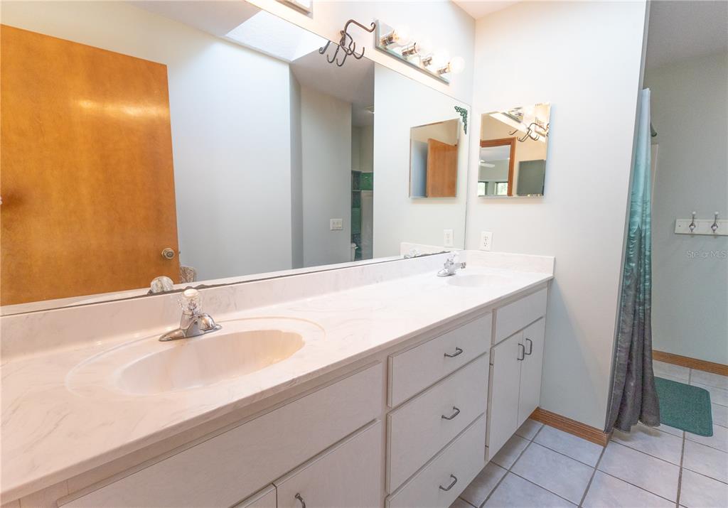 12681 Southeast 54th Avenue Belleview, FL 34420 - Photo 31 of 46 a bathroom with a sink and a mirror