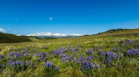 $3,500,000 | Big Horn Mountain, Buffalo, WY 82834
