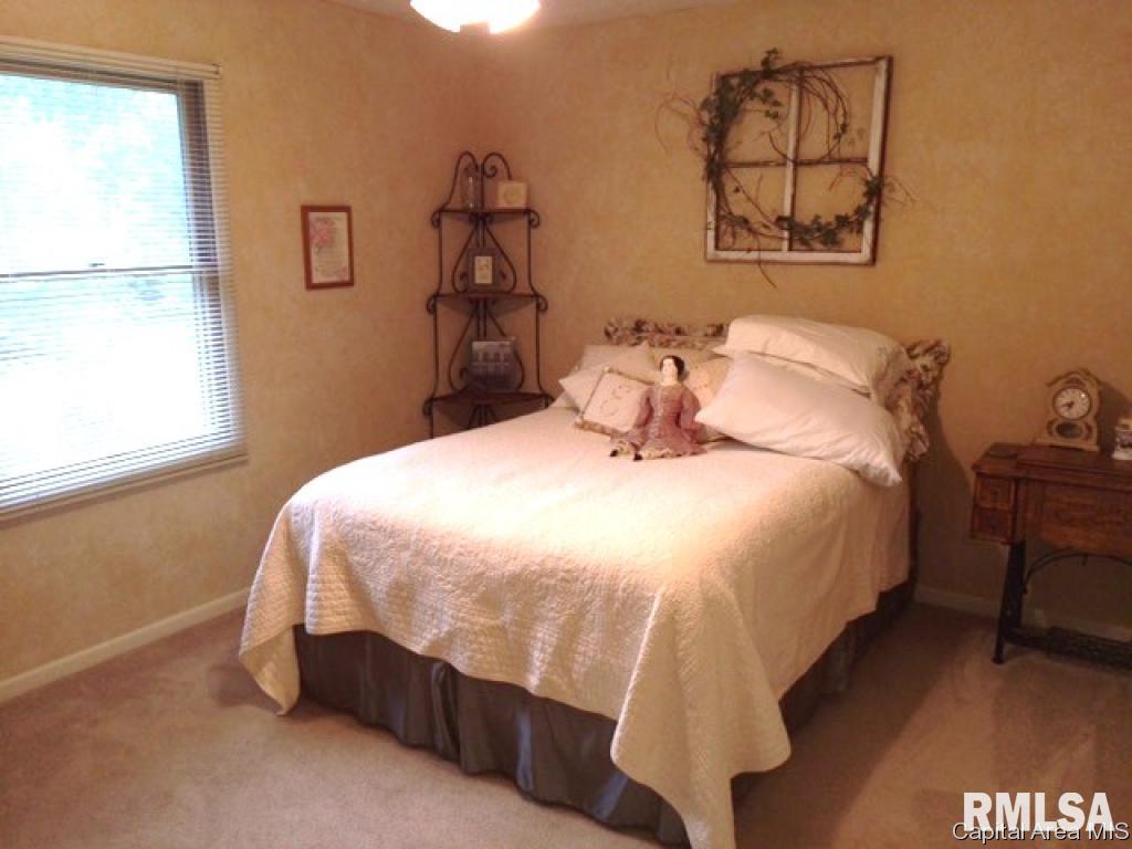 3400 Raspberry Court Springfield, IL 62711 - Photo 16 of 18