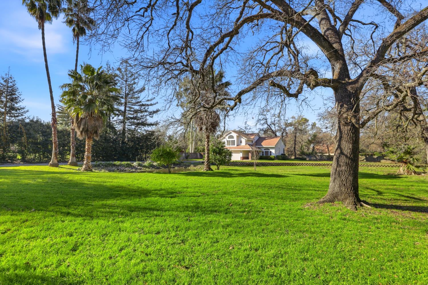 9274 Auburn Folsom Road Granite Bay, CA 95746 - Photo 56 of 58