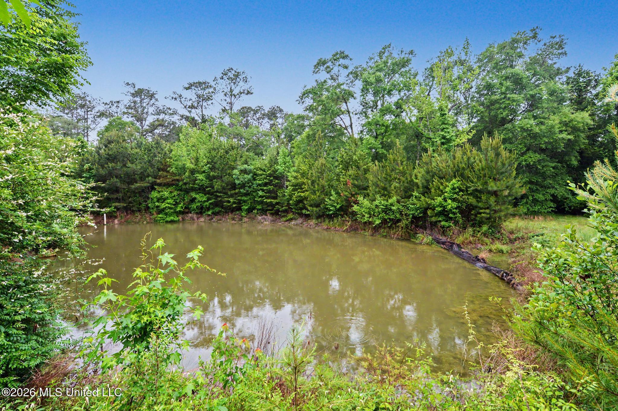 4219 Merrill Road Lucedale, MS 39452 - Photo 28 of 40 028