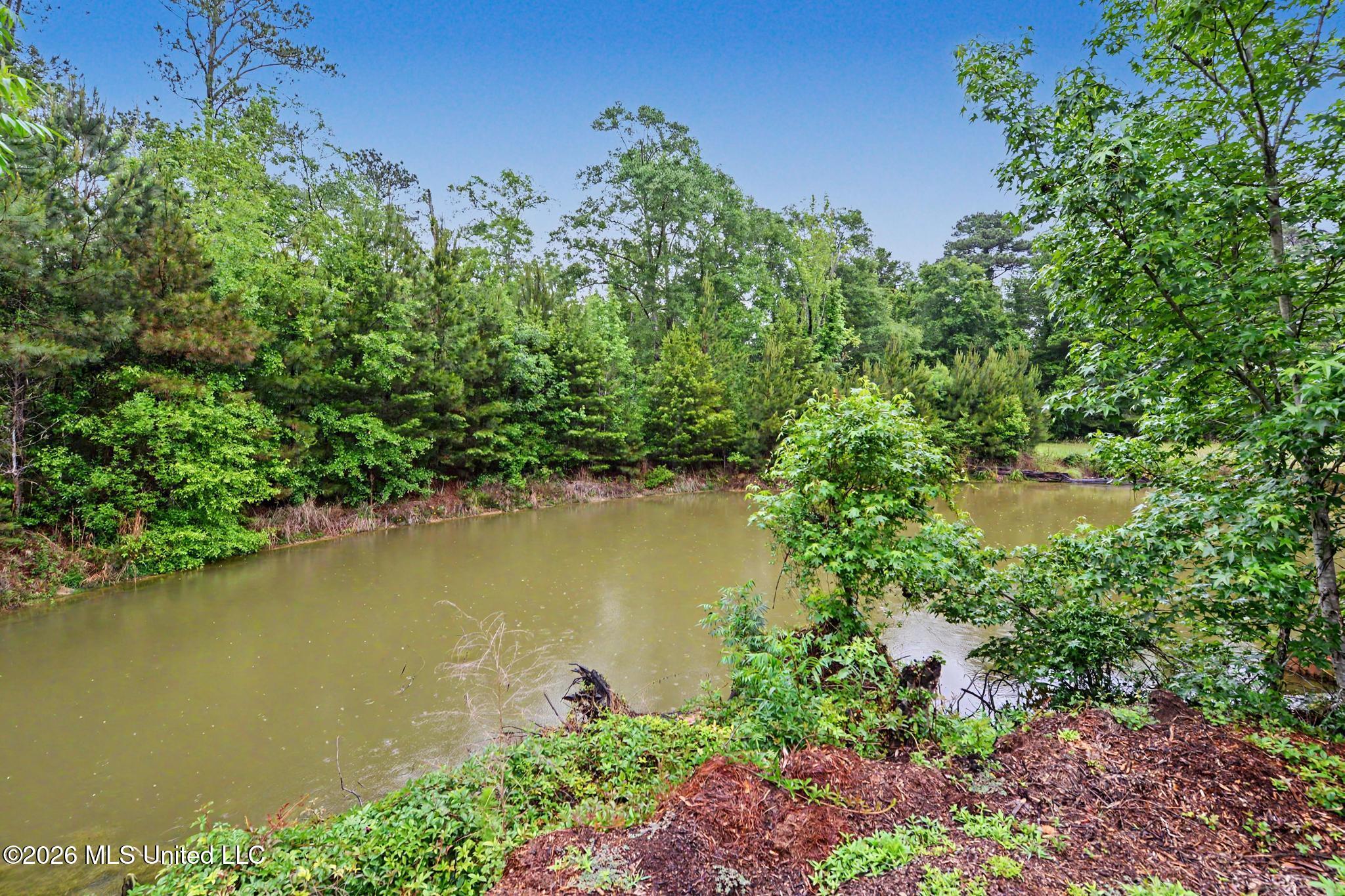 4219 Merrill Road Lucedale, MS 39452 - Photo 29 of 40 029