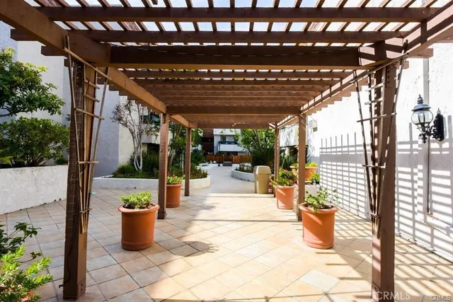 a view of a patio with plants and chairs
