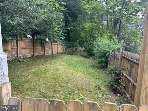 a view of a backyard with plants and large trees