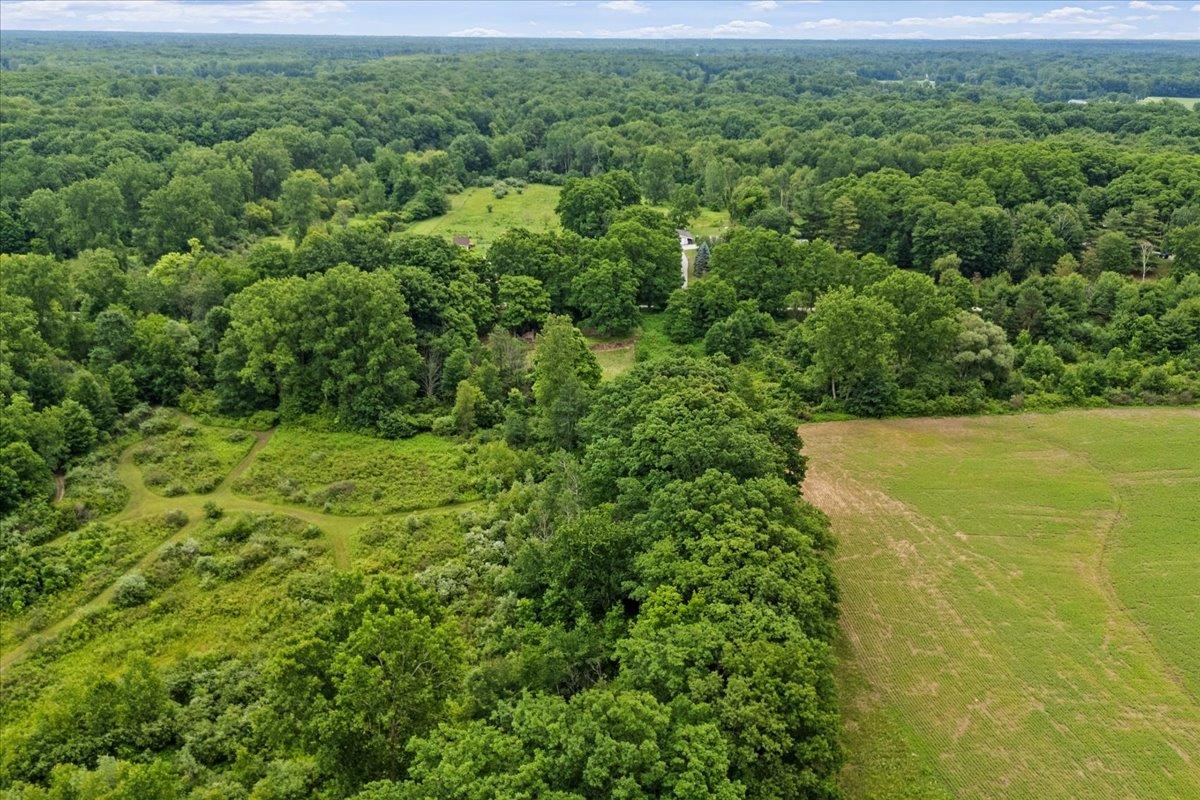 1187 Parks Road Goodells, MI 48027 - Photo 6 of 23
