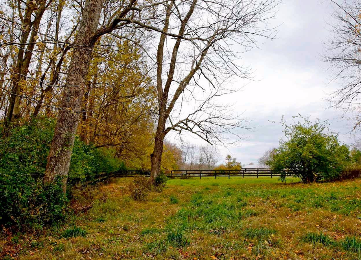 3263 North Cleveland Road Lexington, KY 40516 - Photo 58 of 93 Photo 58
