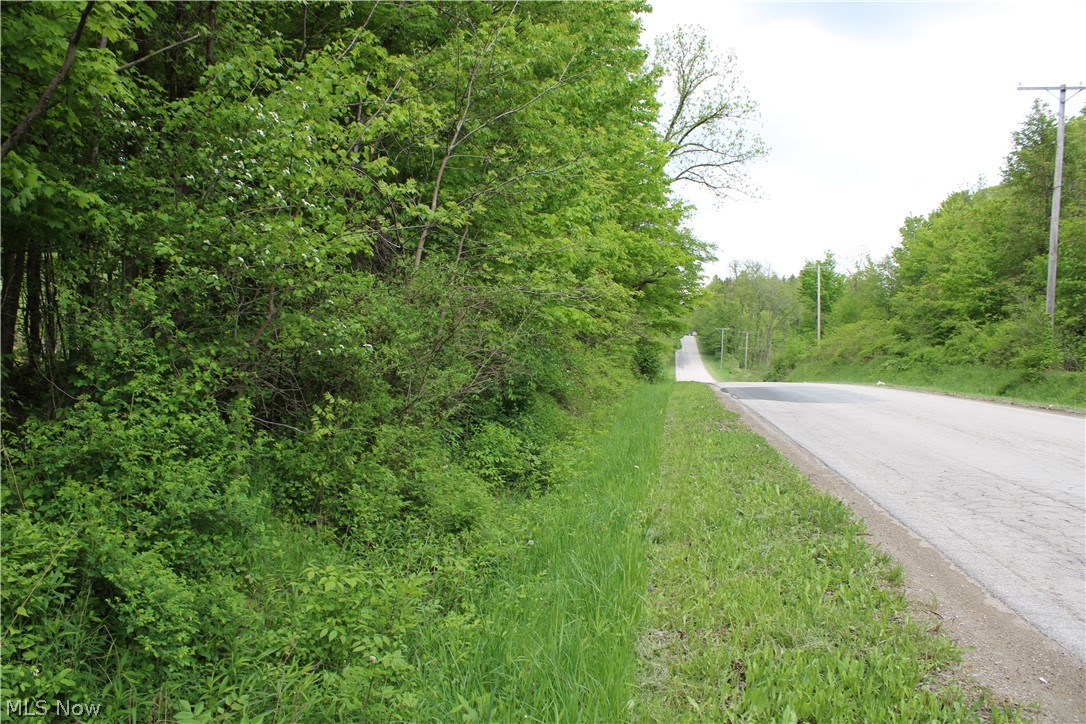 Tuttle Road Geneva, OH 44041 - Photo 3 of 5