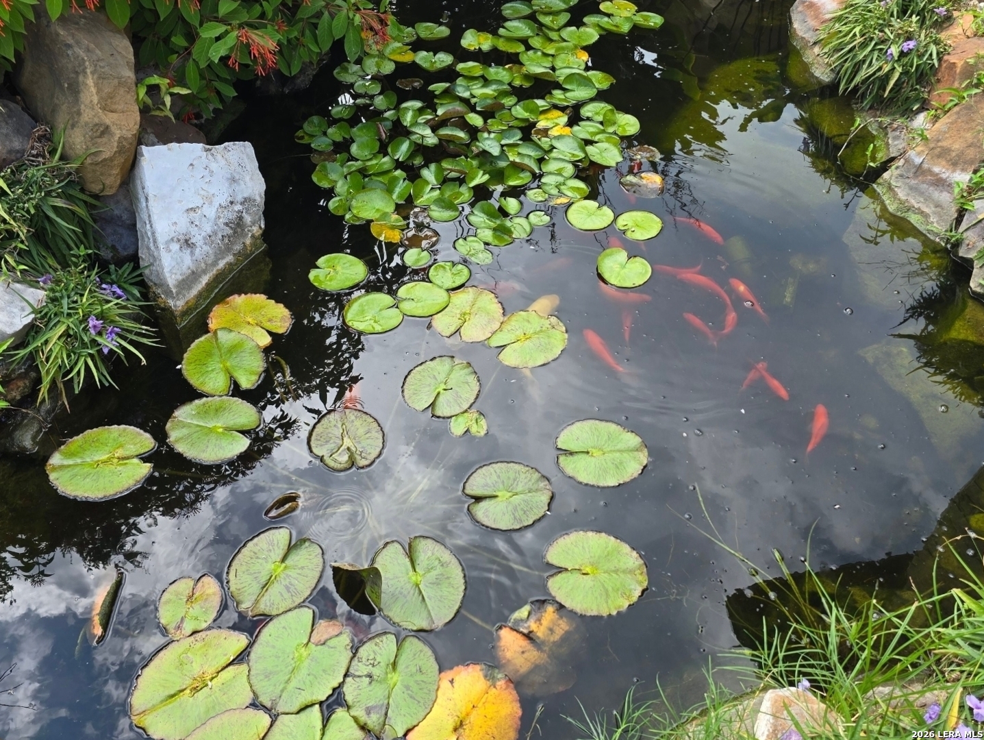 10918 Hunters Way Helotes, TX 78023 - Photo 37 of 49