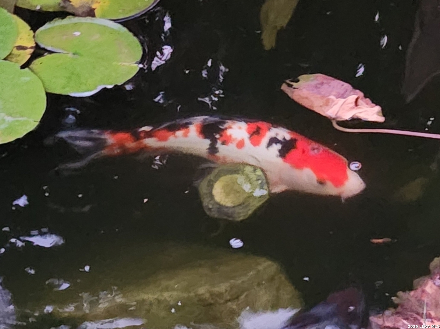 10918 Hunters Way Helotes, TX 78023 - Photo 38 of 49