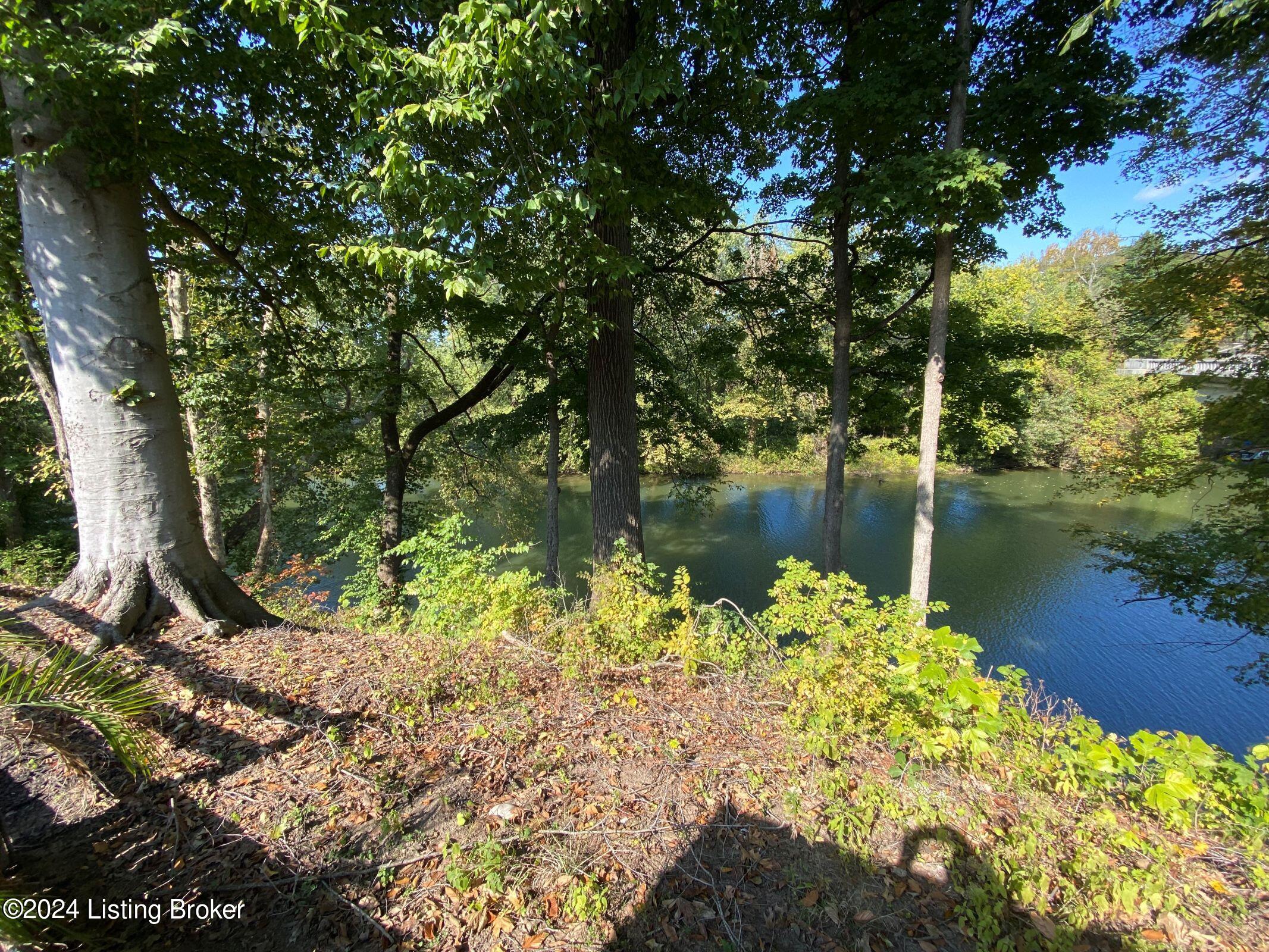 6410 River Road Prospect, KY 40059 - Photo 71 of 142 IMG_7944