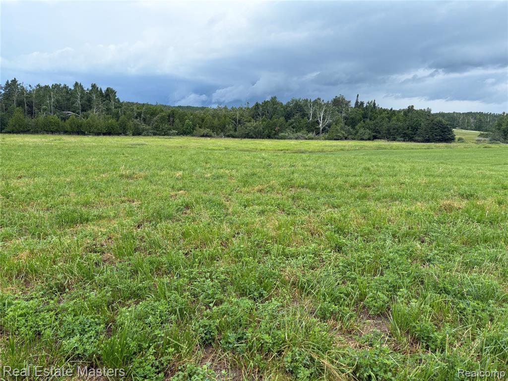 300 East Hubert Road Hubbard Lake, MI 49747 - Photo 8 of 17