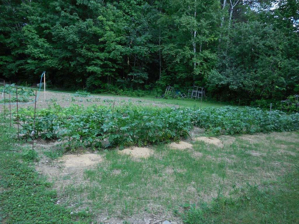 40 Darling Road Hudson, ME 04449 - Photo 32 of 35 Photo