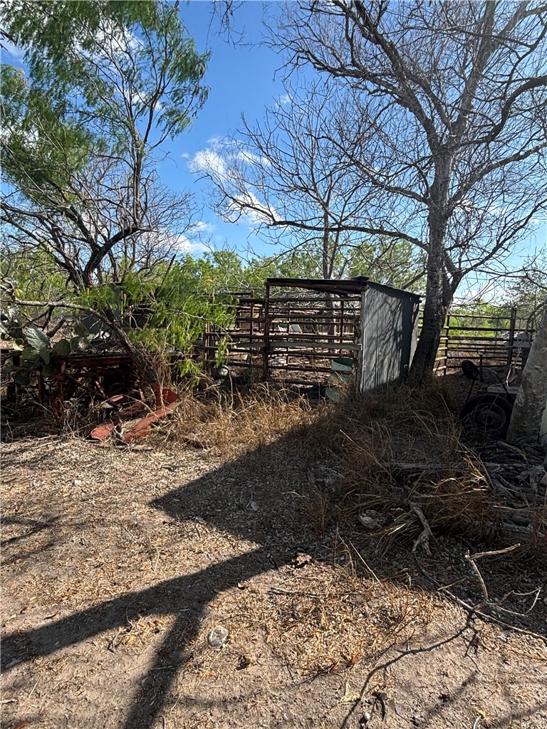 369 Edith Drive Alice, TX 78332 - Photo 6 of 27 a view of a yard with plants and trees