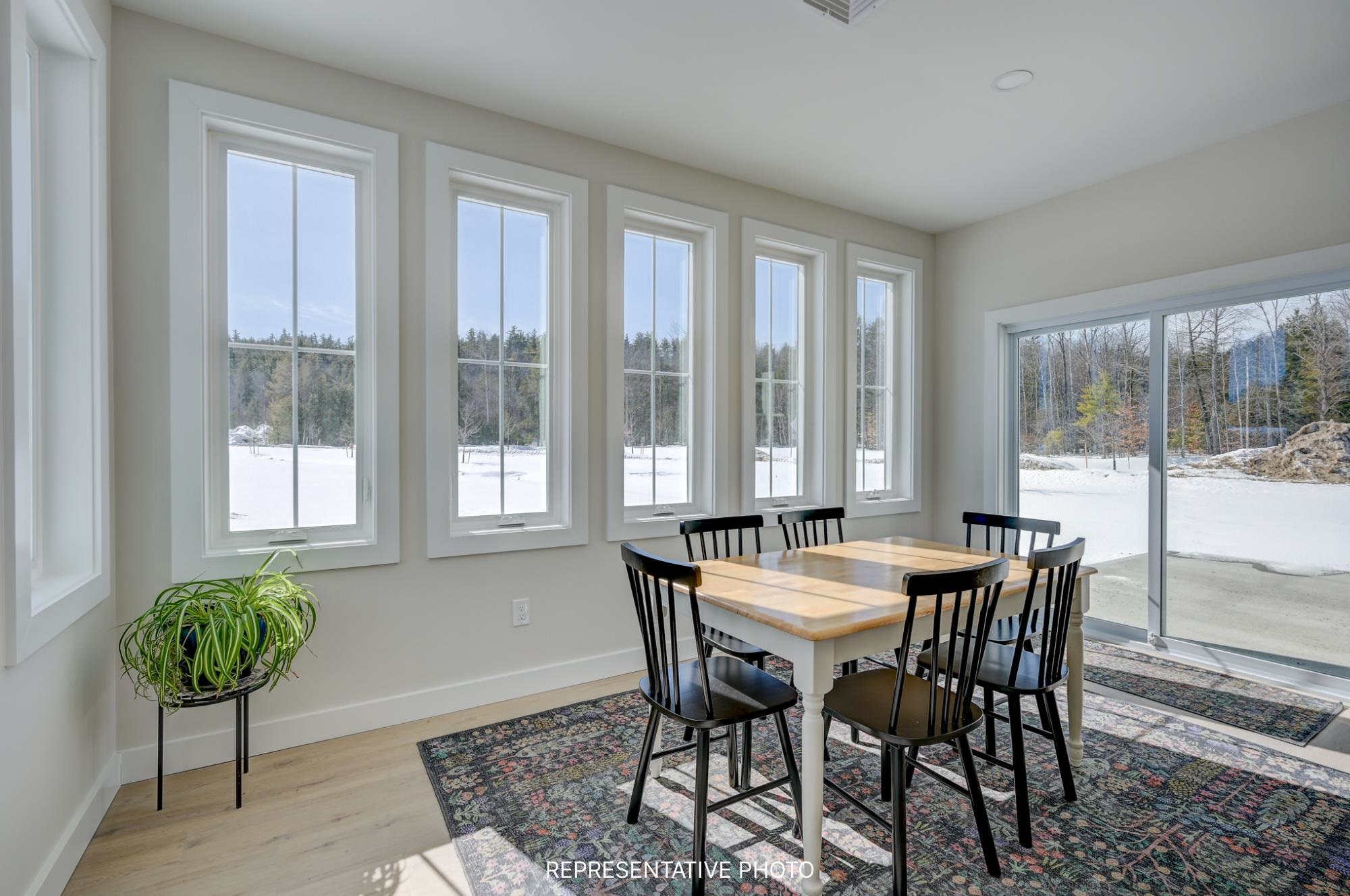 52 Whispering Pines Place, Unit 17 Center Conway, NH 03813 - Photo 23 of 37