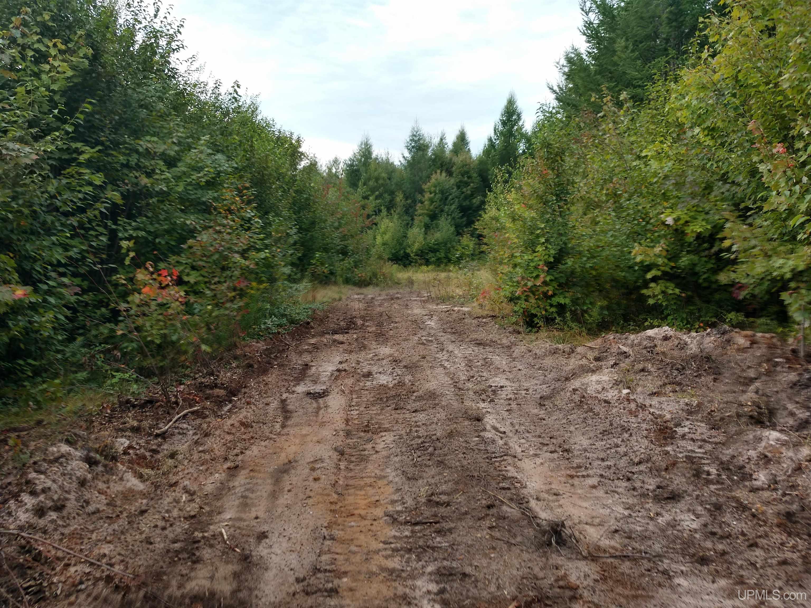2 Rd Rock Mi 49880 Road Rock, MI 49880 - Photo 37 of 39