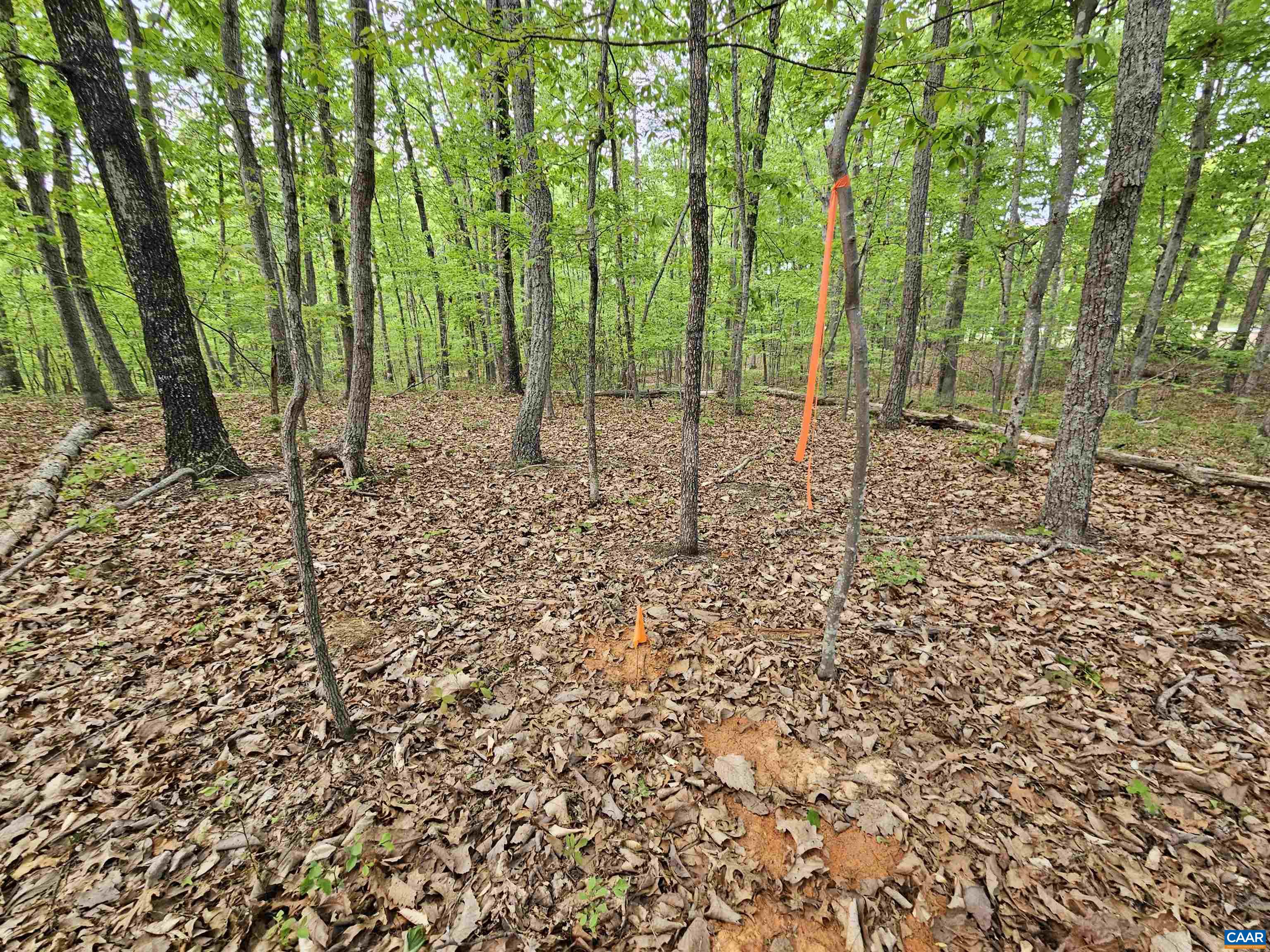 3.1-ac Axtell Road Howardsville, VA 24562 - Photo 8 of 12 Gallery Image 8