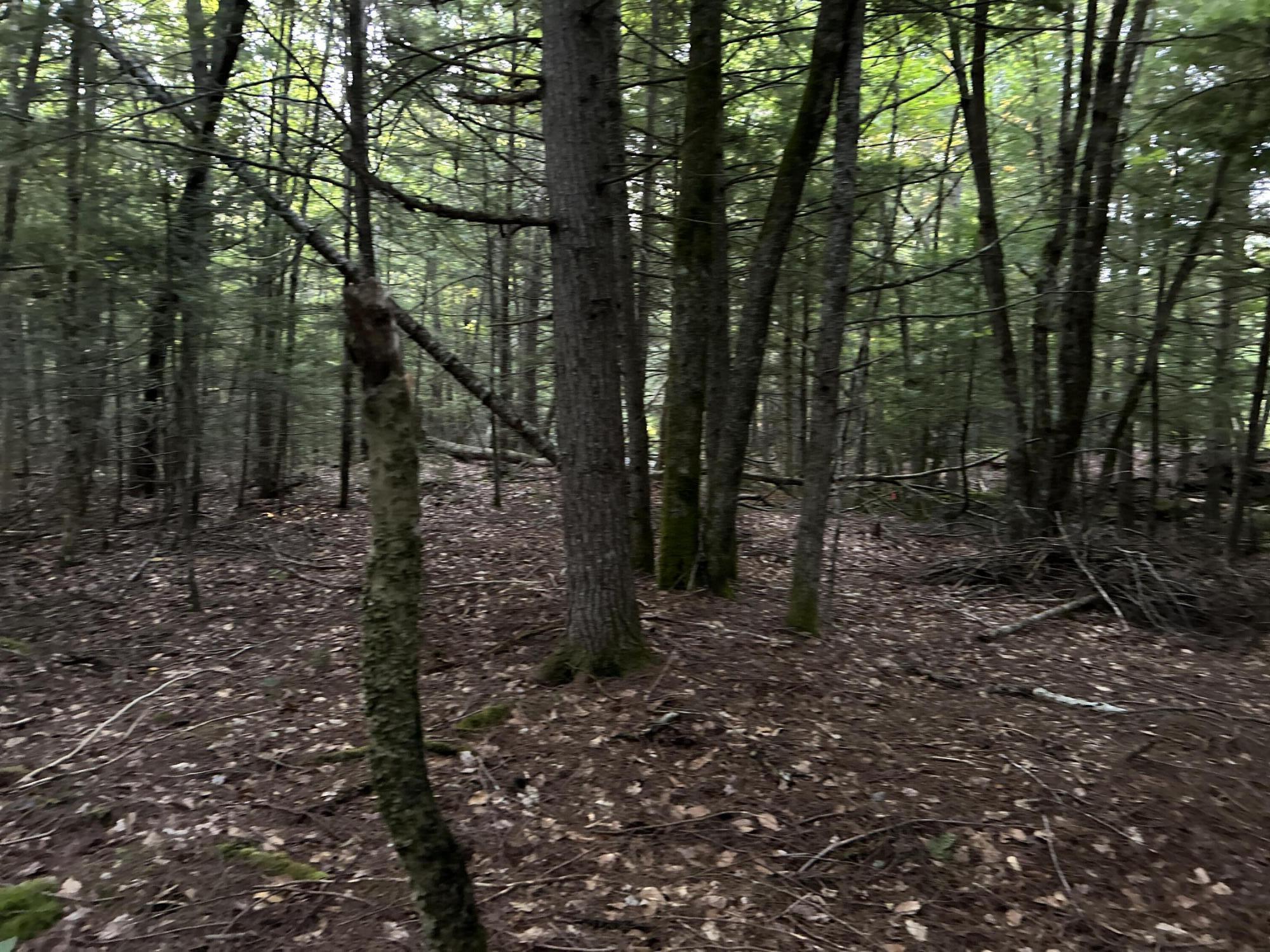 M4-l14 Village Road Jackson, ME 04921 - Photo 22 of 37