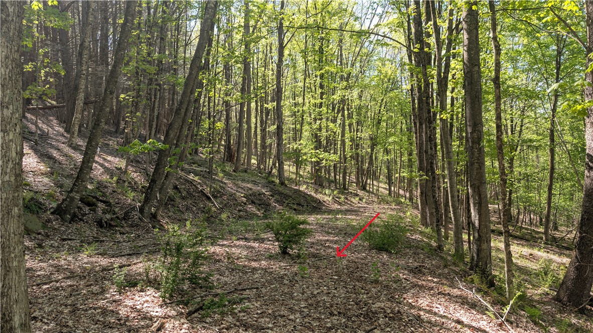 Lot 5 East River Road Andes, NY 13731 - Photo 19 of 39