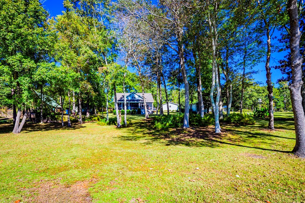 589 Miller Road Abbeville, AL 36310 - Photo 5 of 72 Lot