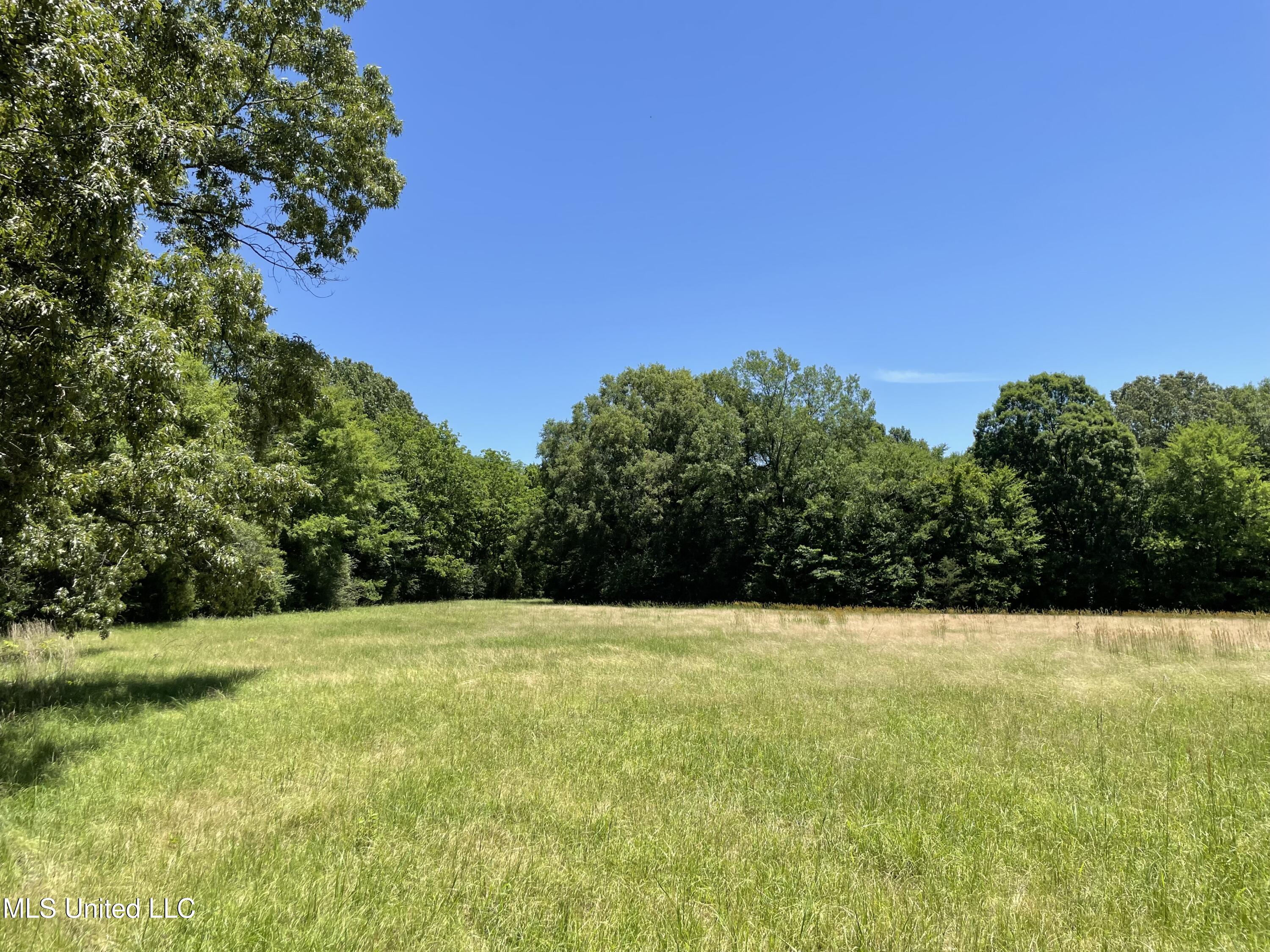 6869 Compress Road, Unit F Como, MS 38619 - Photo 13 of 17 IMG_1138