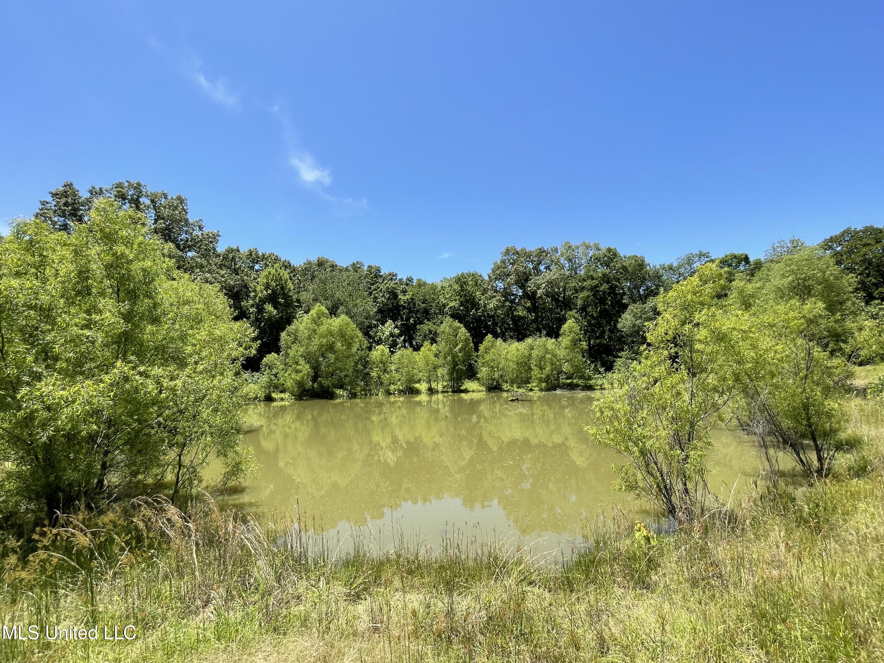 6869 Compress Road, Unit F Como, MS 38619 - Photo 14 of 17 IMG_1143