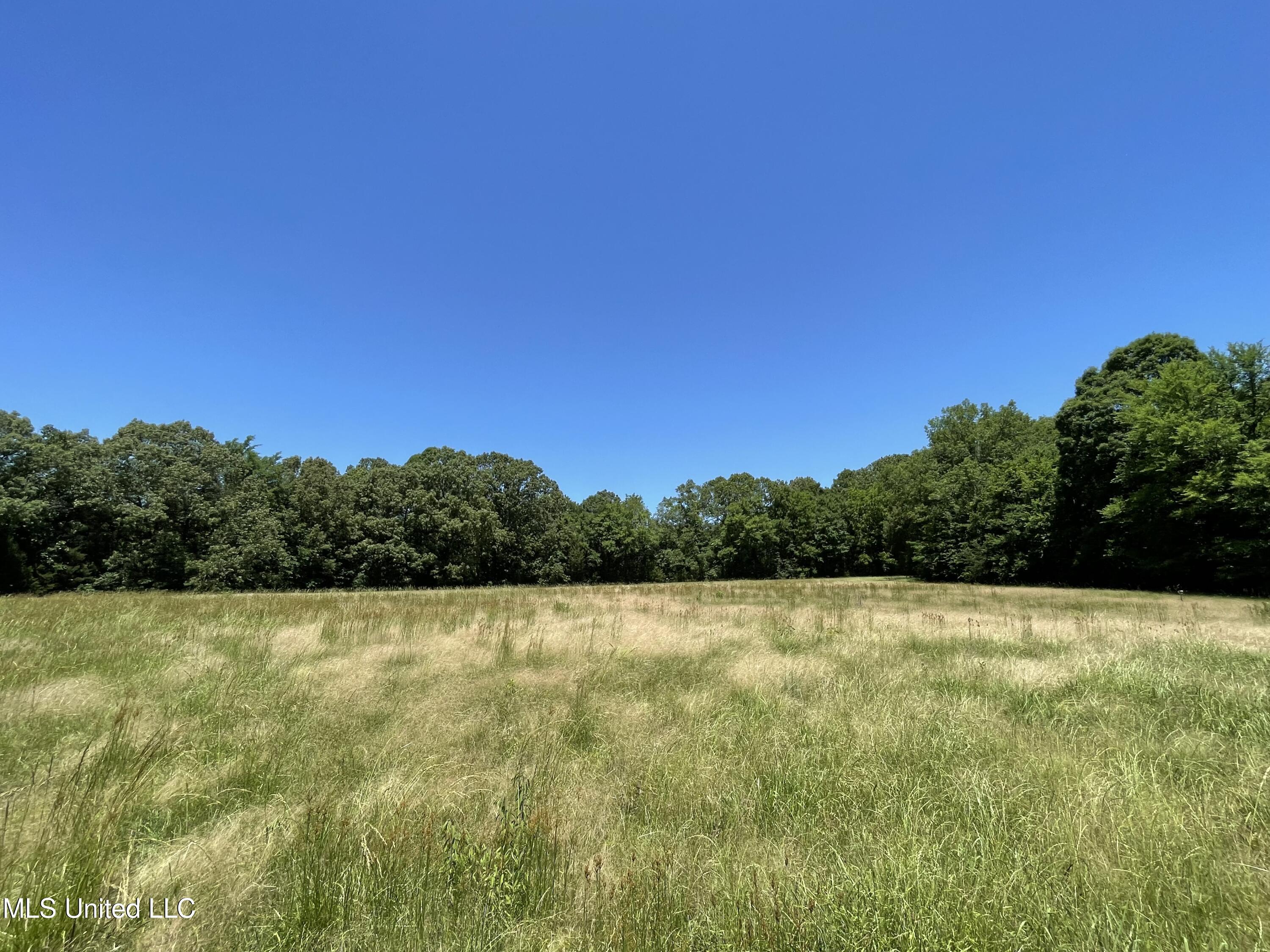 6869 Compress Road, Unit F Como, MS 38619 - Photo 15 of 17 IMG_1148