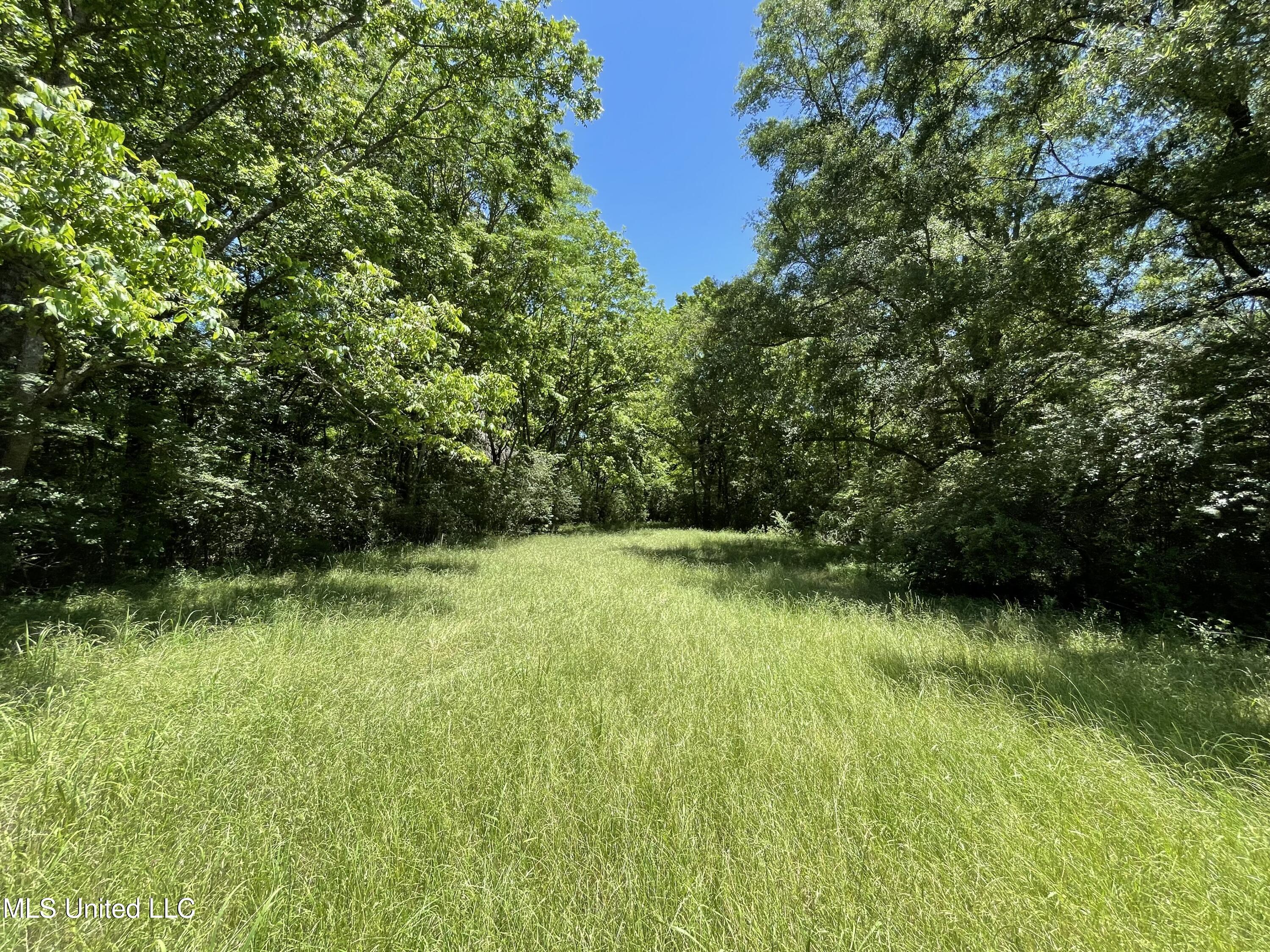 6869 Compress Road, Unit F Como, MS 38619 - Photo 16 of 17 IMG_1149