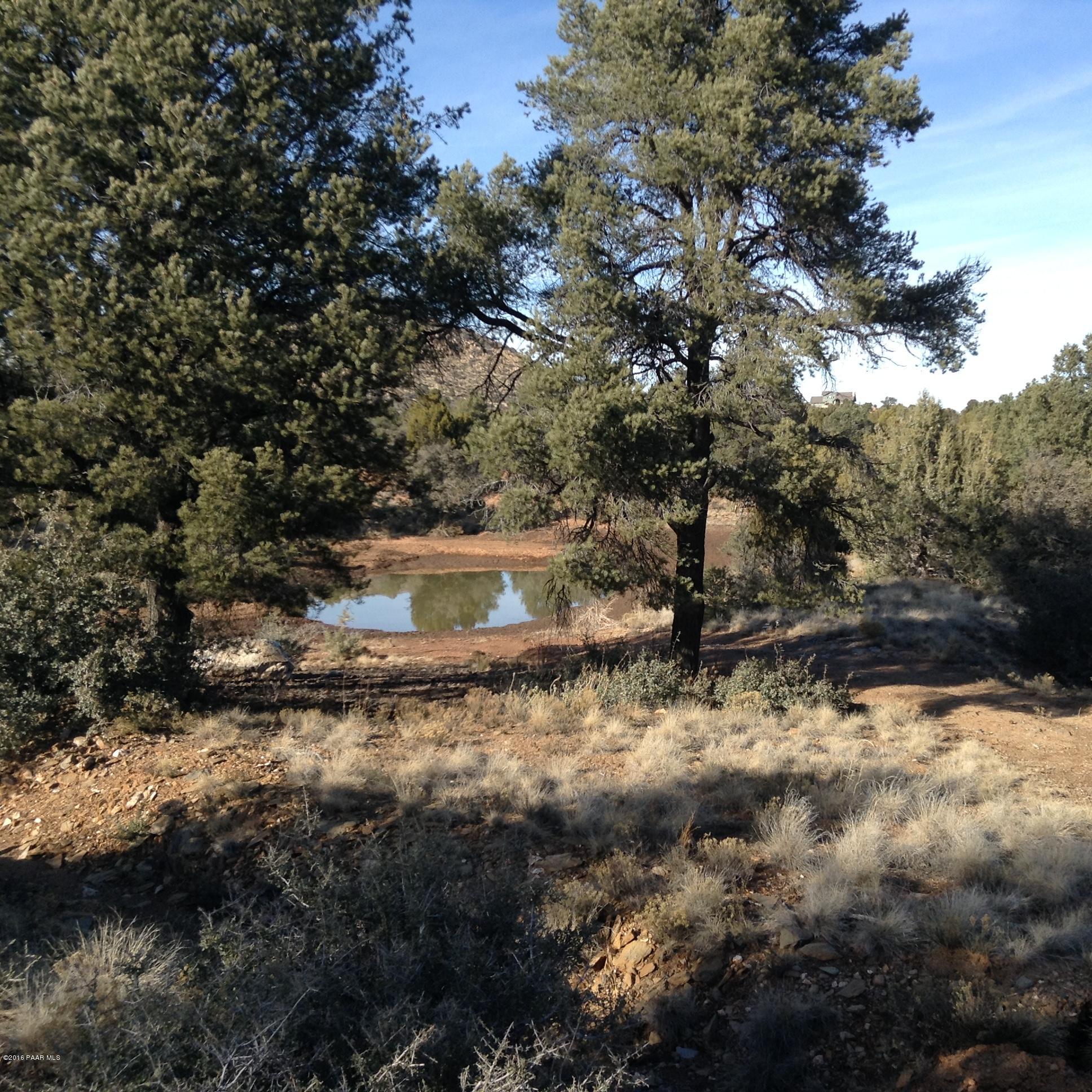 14350 North Brenda Road Prescott, AZ 86305 - Photo 20 of 22 property landscape