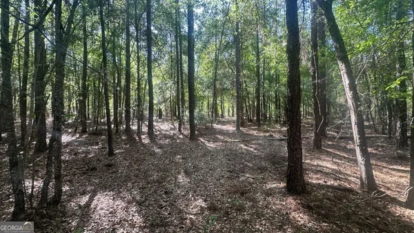$272,000 | 8 Country Club Road, Unit LOT 8, Sylvania, GA 30467