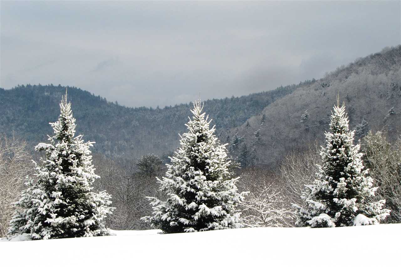 313 Sharon Meadows Sharon, VT 05068 - Photo 4 of 22 Gallery Image 4