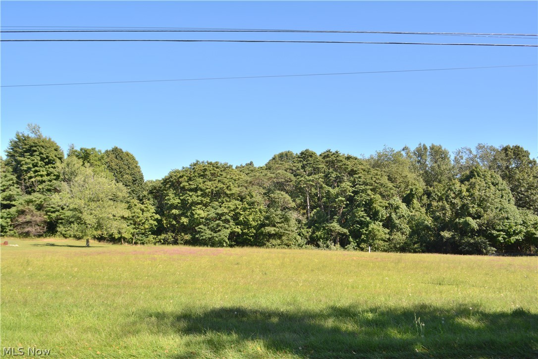 Poore Road Conneaut, OH 44030 - Photo 4 of 5 Gallery Image 4