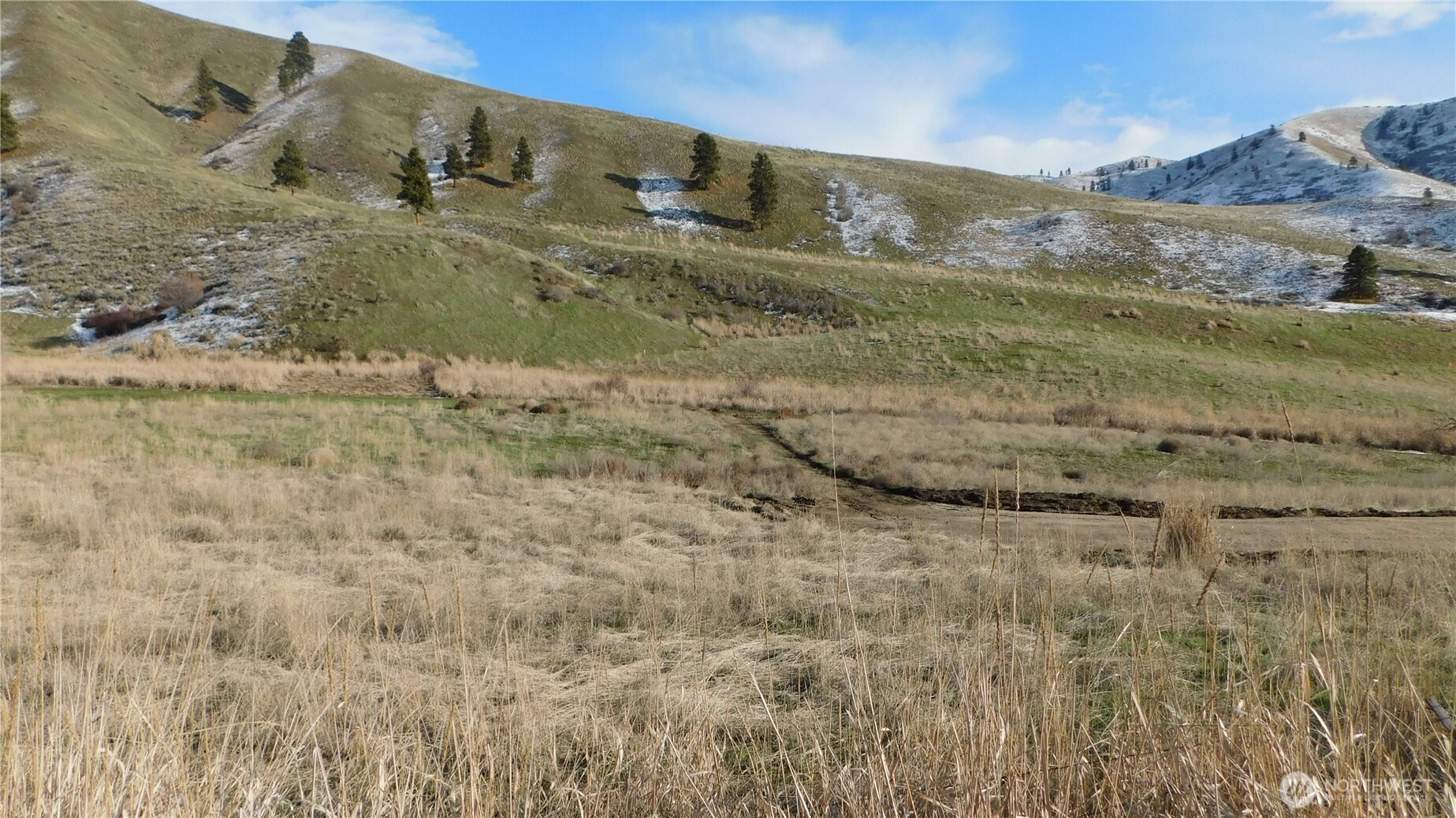 a view of a dry yard with wooden fence