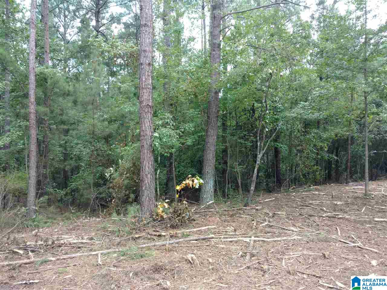 Lakeshore Court Wedowee, AL 36278 - Photo 2 of 2