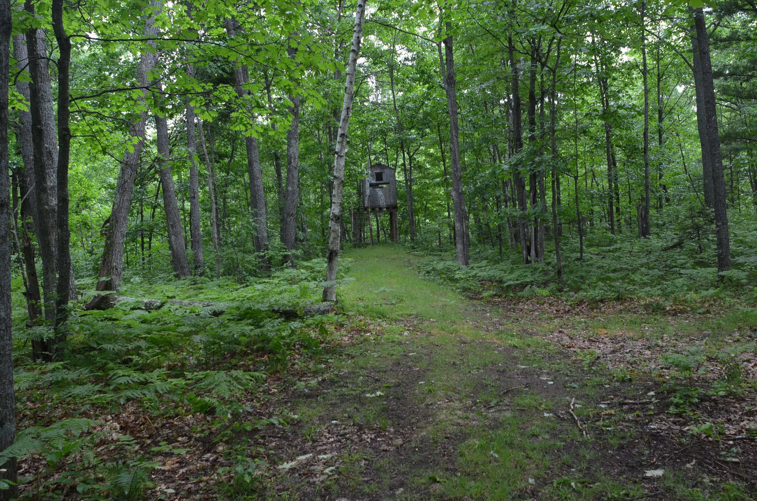 4140 Poskie Road Rhinelander, WI 54501 - Photo 46 of 58