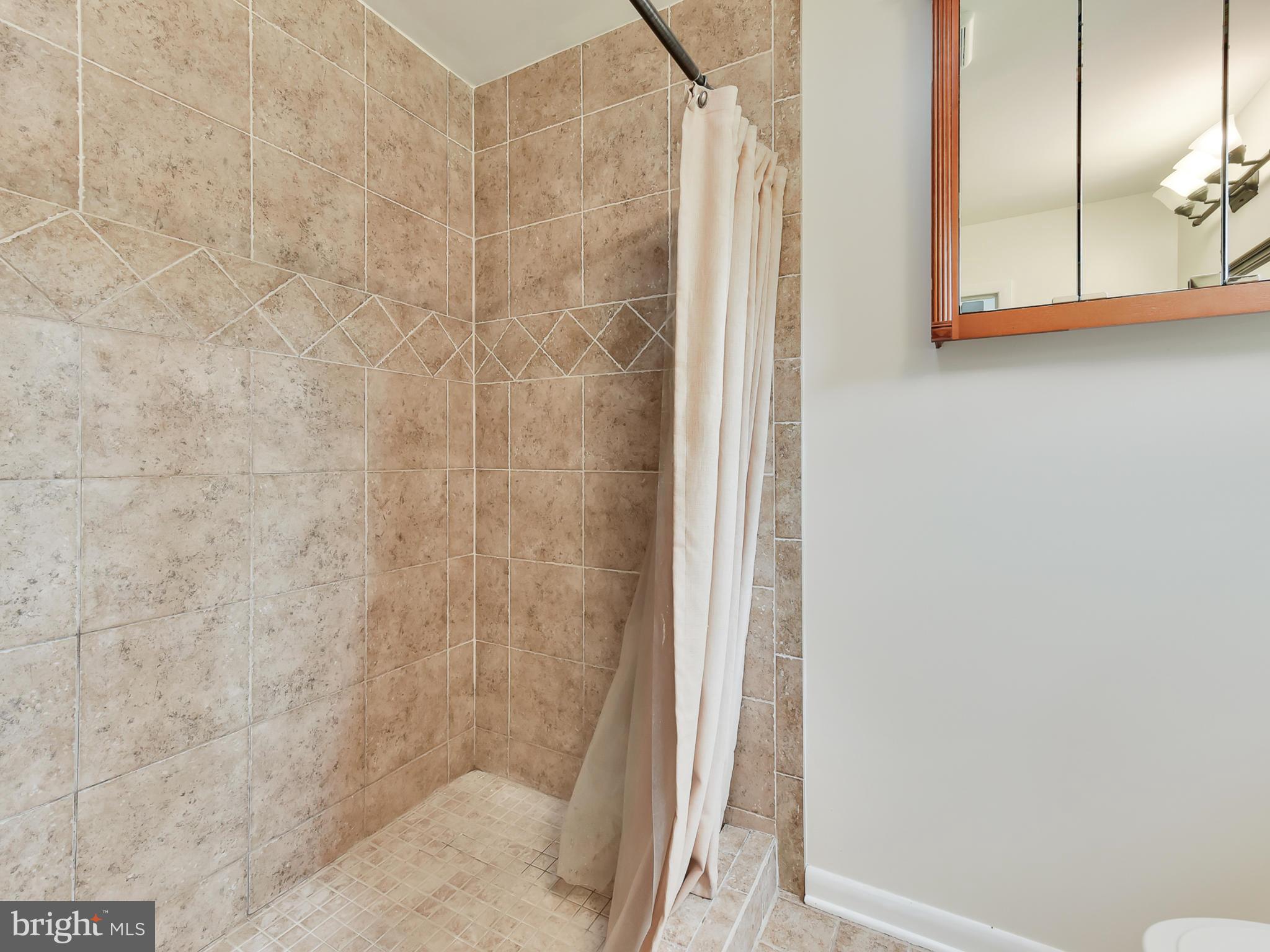 6143 Long Branch Road Frederick, MD 21701 - Photo 26 of 44 Master Bath