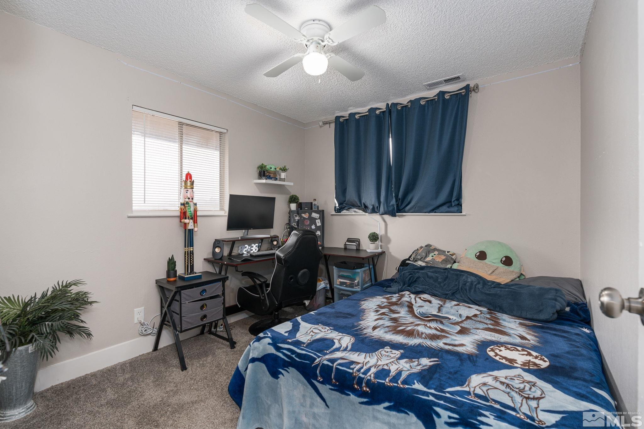 11365 Chestnut Street Reno, NV 89506 - Photo 17 of 34 Photo 17