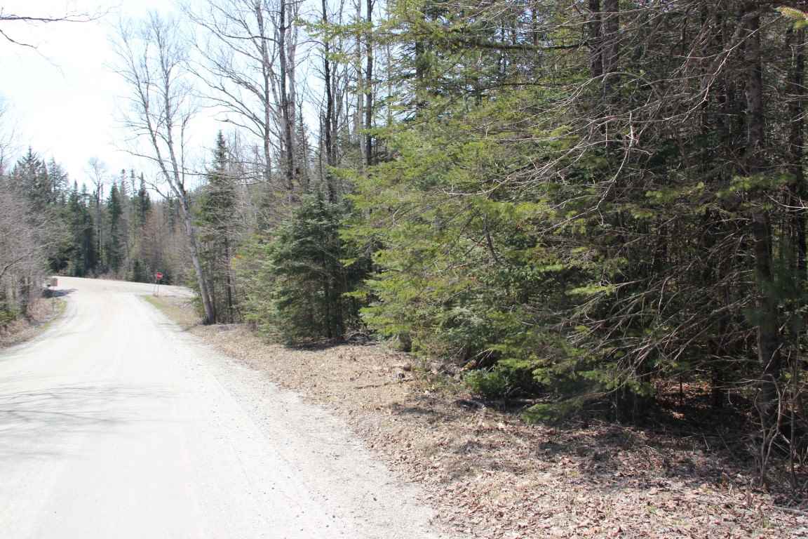 4501 Brook Road Plainfield, VT 05641 - Photo 2 of 17 Gallery Image 2