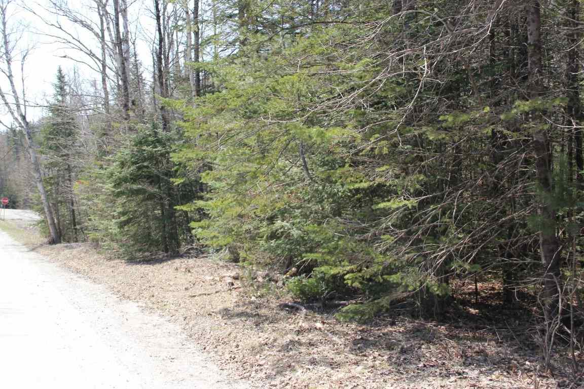 4501 Brook Road Plainfield, VT 05641 - Photo 11 of 17 Gallery Image 11