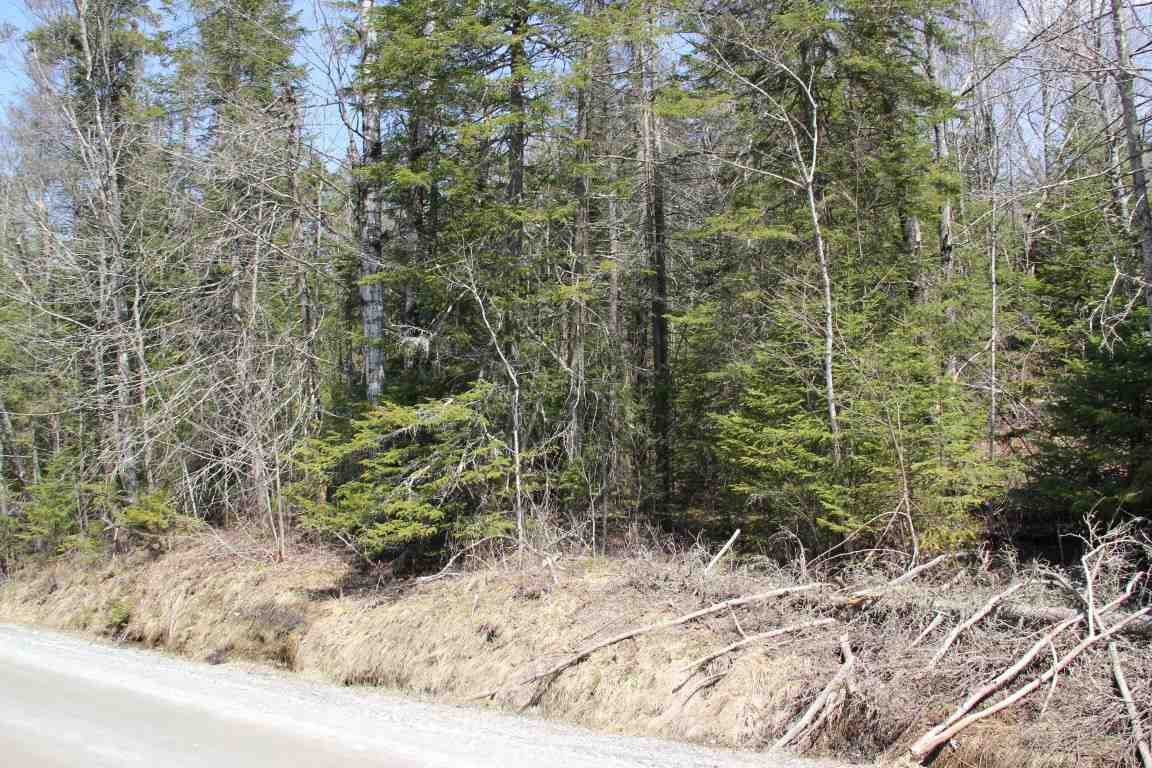 4501 Brook Road Plainfield, VT 05641 - Photo 13 of 17 Gallery Image 13