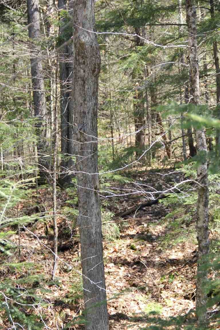 4501 Brook Road Plainfield, VT 05641 - Photo 15 of 17 Gallery Image 15