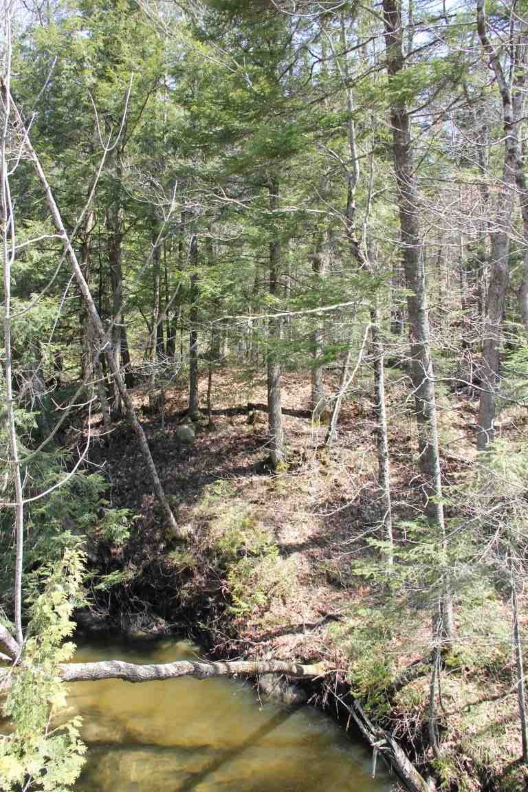 4501 Brook Road Plainfield, VT 05641 - Photo 16 of 17 Gallery Image 16
