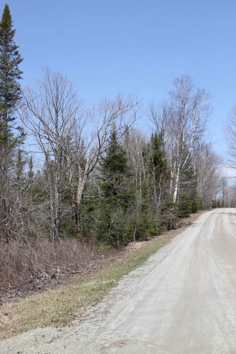 4501 Brook Road Plainfield, VT 05641 - Photo 17 of 17 Gallery Image 17