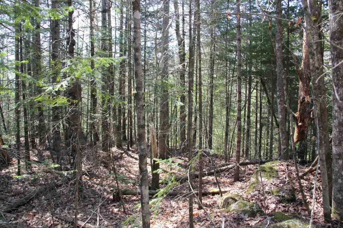 4501 Brook Road Plainfield, VT 05641 - Photo 4 of 17 Gallery Image 4